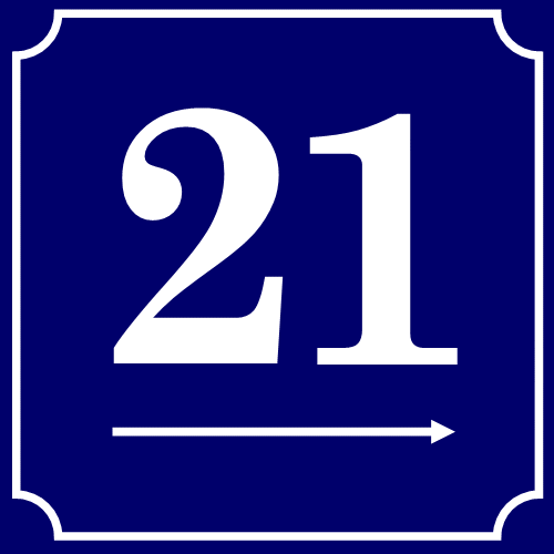 VS21